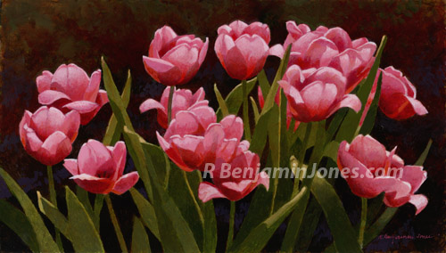 Tulips, 2009