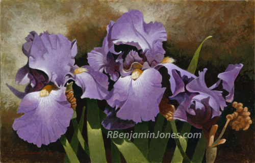 Irises