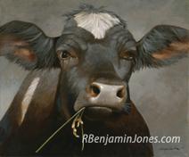 Holstein