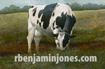 Holstein #12