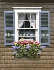 Lantana and Geraniums