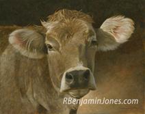 Brown Swiss