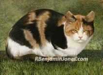 Calico Cat