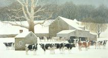 Herd In Snow
