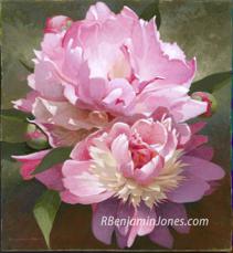 Peonies