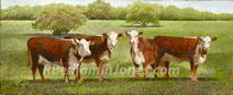 White Face Herefords