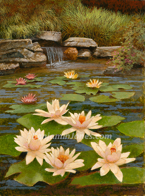 Water Lilies